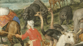 L’Odyssée des animaux