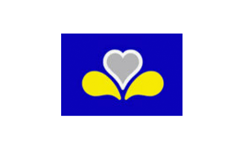logo Brussels Capital Region