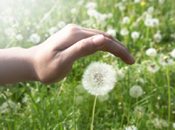 Flower with hand